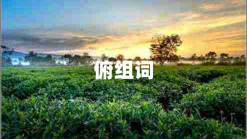 俯組詞