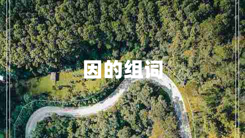 因的組詞