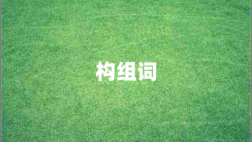 構組詞