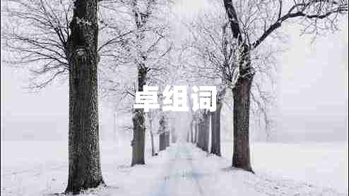 卓組詞