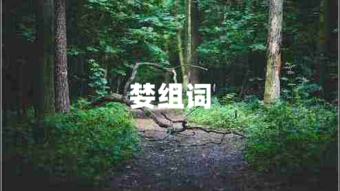 婪組詞