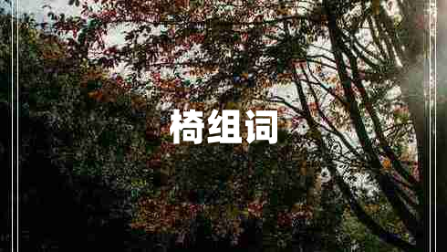 椅組詞
