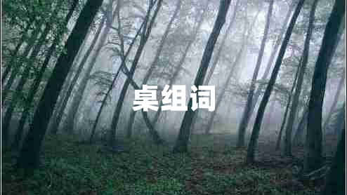 桌組詞