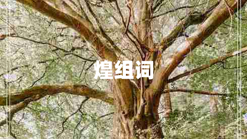 煌組詞