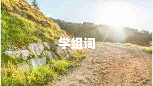學(xué)組詞