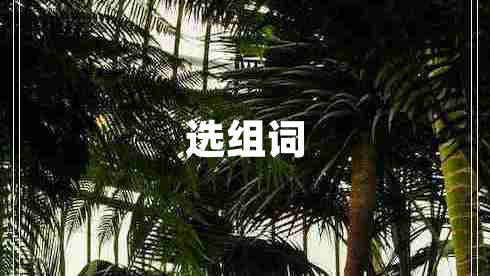選組詞