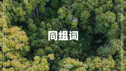 同組詞