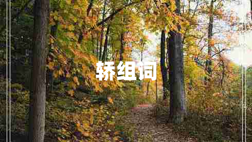 轎組詞