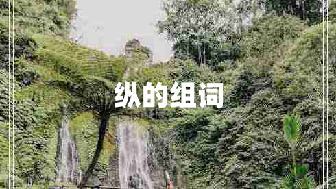 縱的組詞