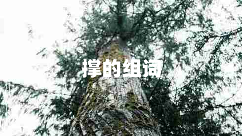 撐的組詞