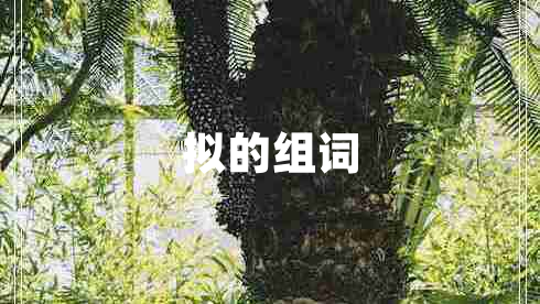 擬的組詞
