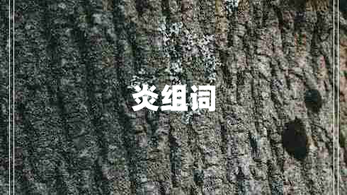 炎組詞