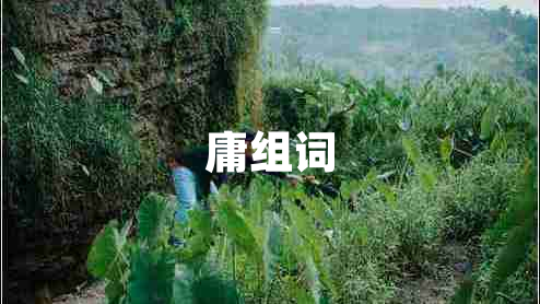 庸組詞
