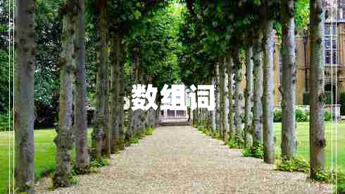 數組詞