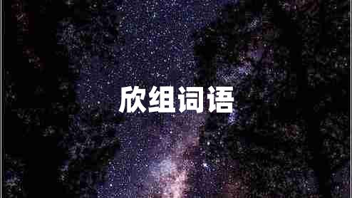 欣組詞語(yǔ)