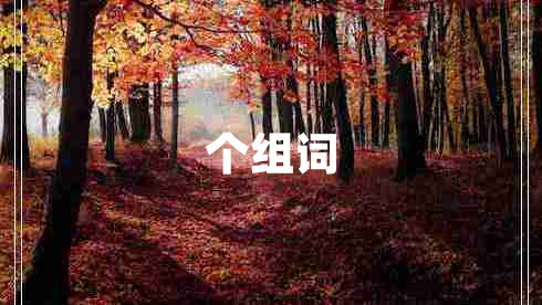 個組詞