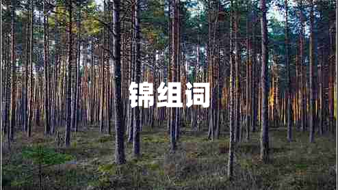 錦組詞