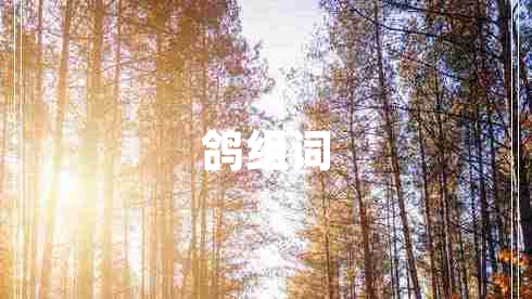 鴿組詞