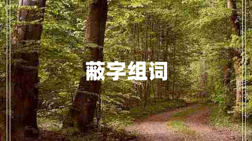 蔽字組詞