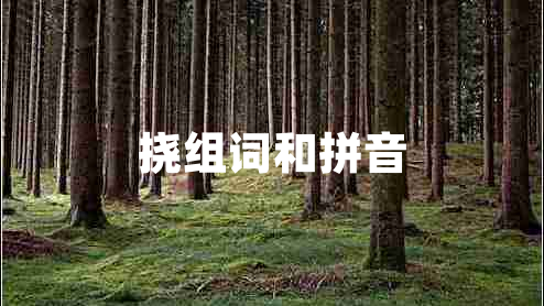 撓組詞和拼音