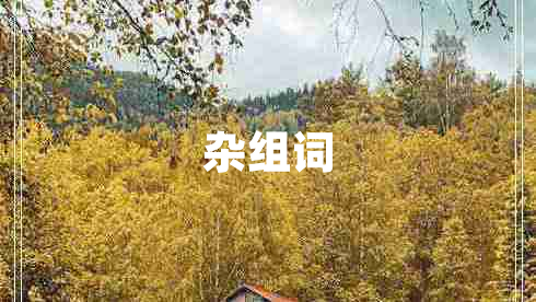 雜組詞
