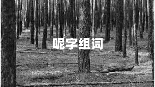 呢字組詞