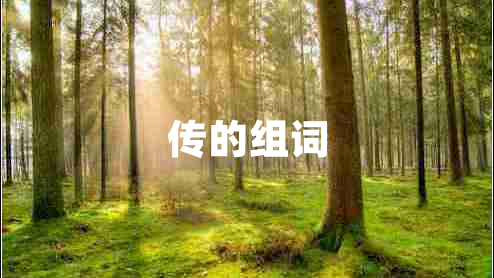 傳的組詞