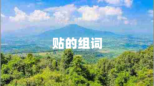 貼的組詞