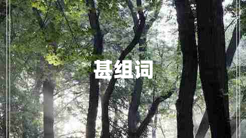 甚組詞