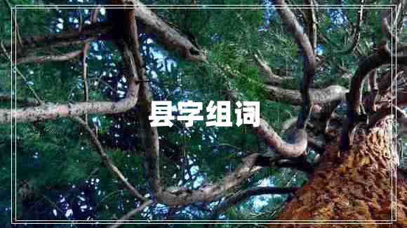 縣字組詞