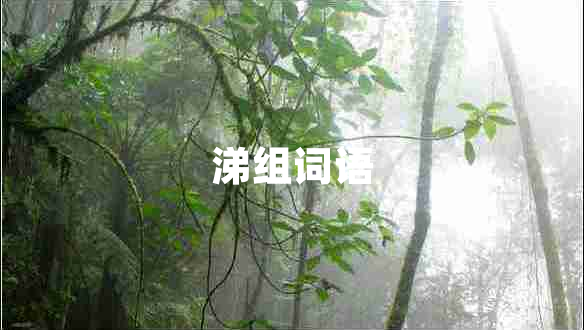 涕組詞語(yǔ)