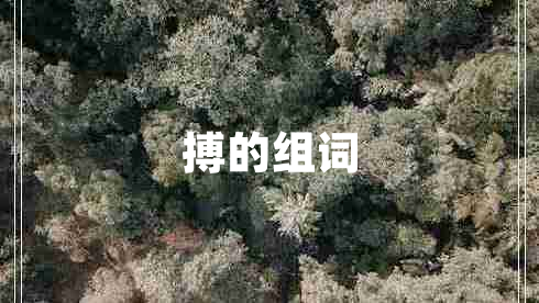 搏的組詞