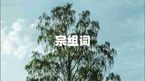 宗組詞