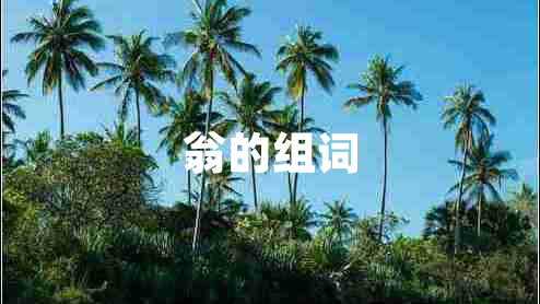 翁的組詞