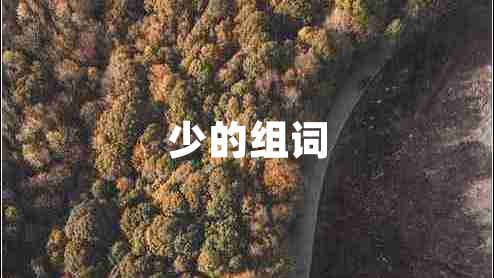 少的組詞