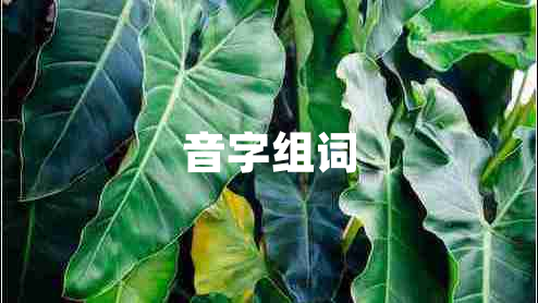 音字組詞