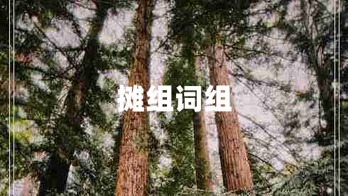 攤組詞組