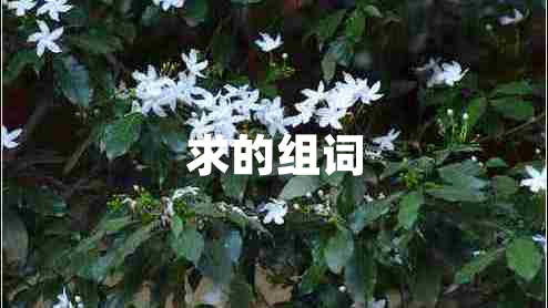 求的組詞