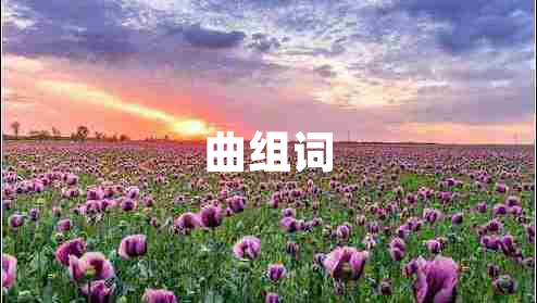 曲組詞