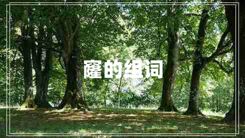 窿的組詞
