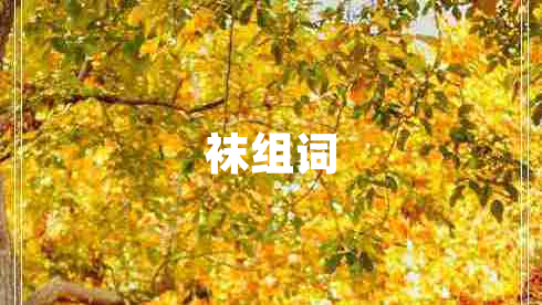 襪組詞