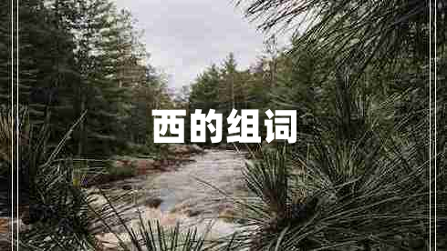 西的組詞