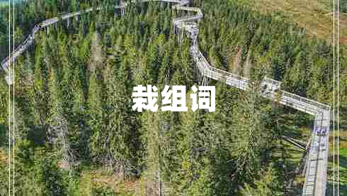 栽組詞