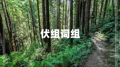 伏組詞組