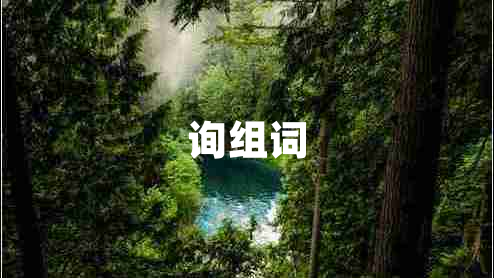 詢(xún)組詞