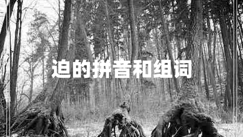 迫的拼音和組詞