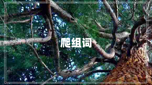 爬組詞