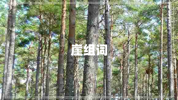 崖組詞