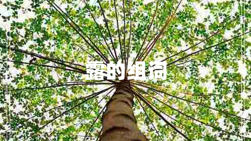露的組詞
