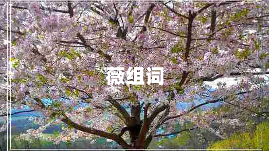 薇組詞